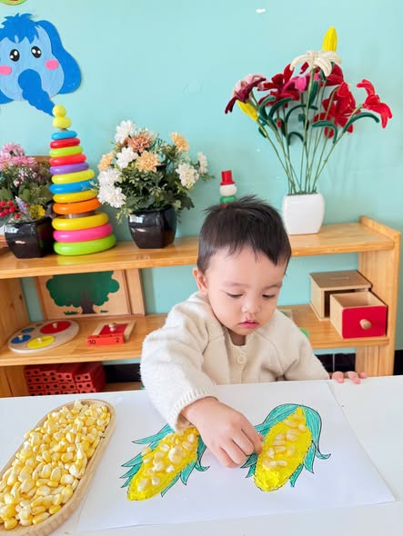 VẬN ĐỘNG TINH: SÁNG TẠO CÙNG HẠT BẮP