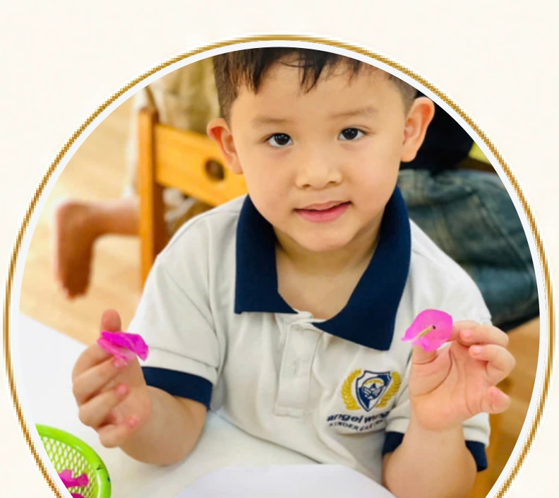 Hoạt động minh họa Chương trình giáo dục mầm non